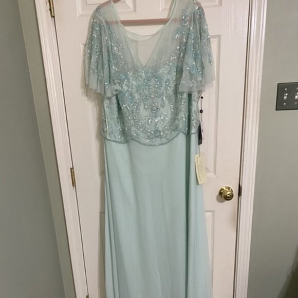 MOTHER OR GRANDMOTHER OF BRIDE OR GROOM GORGEOUS ADRIANNA PAPELL SIZE 22W NWT